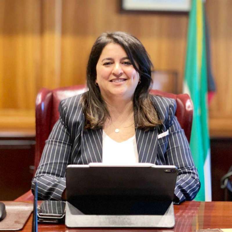 الوزيرة رنا الفارس