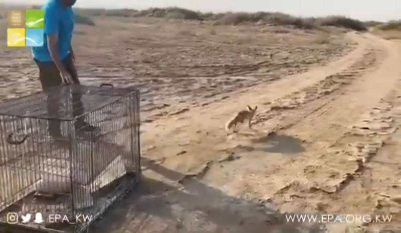 إطلاق حصني في محمية طبيعية