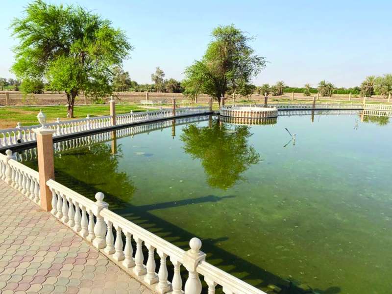 
بحيرة اصطناعية وسط مزرعة الرطام