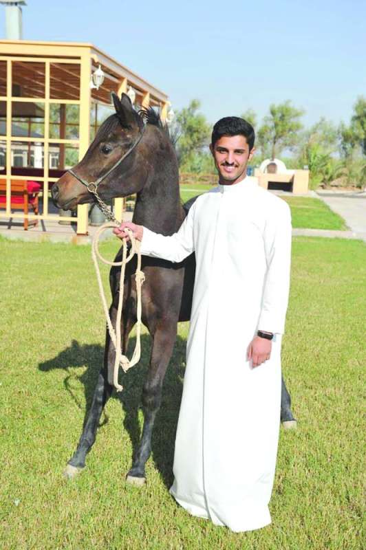 
تربية خاصة للخيول في مزرعة الرطام