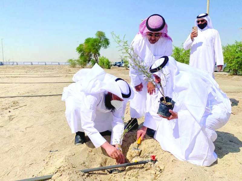 تخضير المحطة بشجيرات تروى من المياه الفائضة