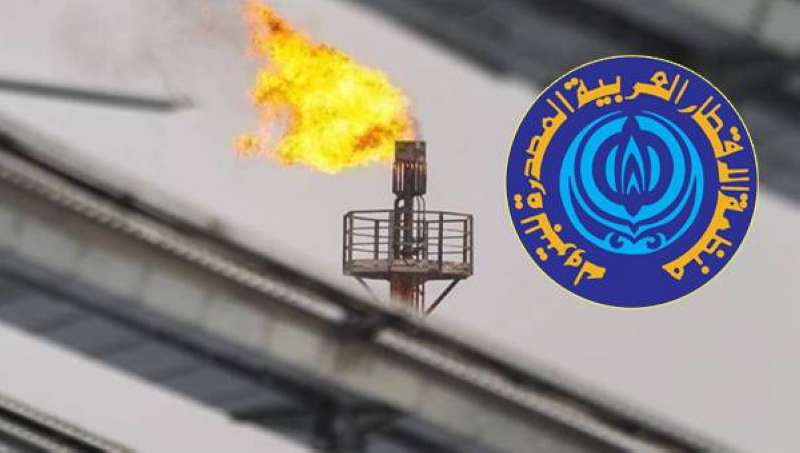 «أوابك»: تسعير الدول العربية المصدرة للغاز وفّر الحماية للمستهلكين من تقلبات الأسعار
