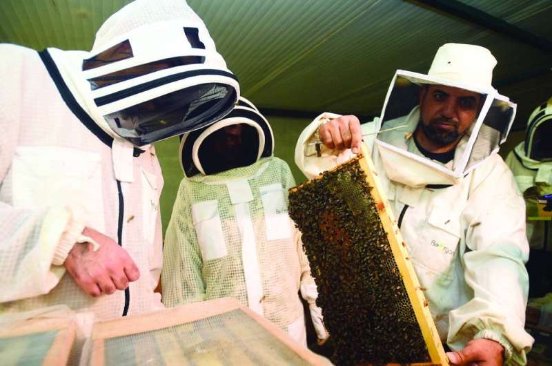 جانب من العمل داخل منحلة العيسى
