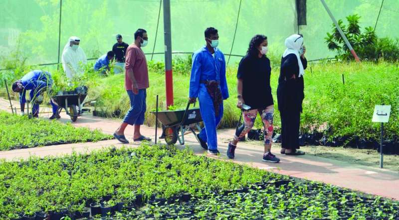 عدد من المواطنين والمواطنات يختارون أنواع الشتلات المفضلة