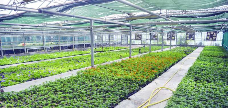 مشاتل العمرية تحتوي مختلف الأشكال والأنواع من النباتات