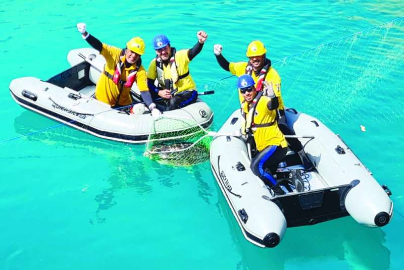 سلحفاة في الشباك