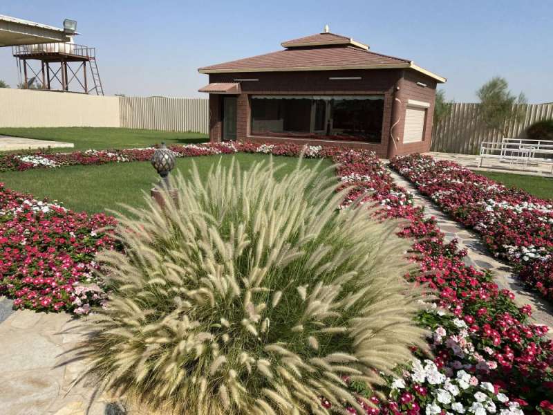 زراعة الزهور في الحدائق
