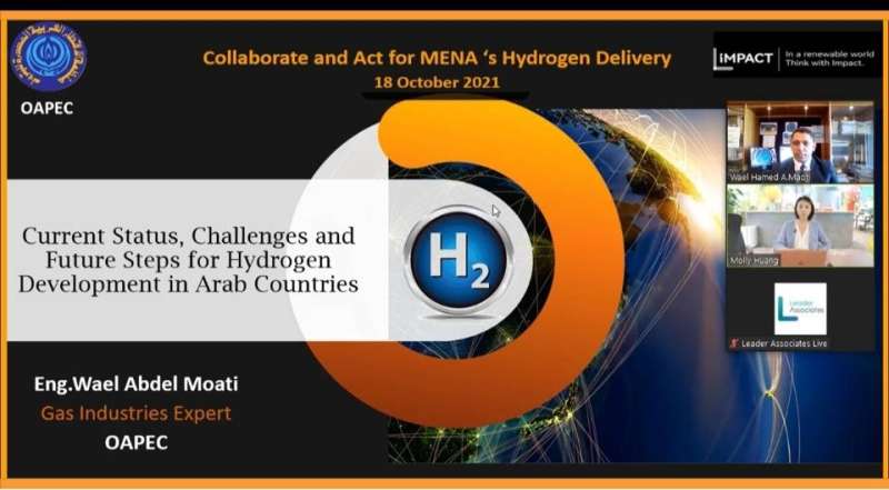 جانب من المؤتمر الافتراضي 