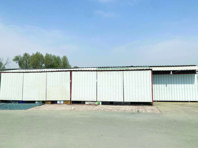 
مشتل مغلق بالكيربي انتظاراً للقرار
