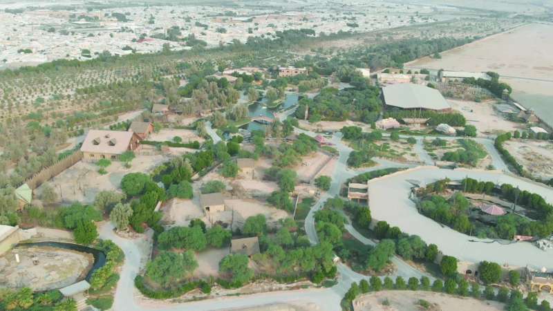 «الغابة الصغيرة»
