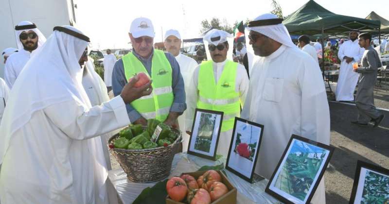 Al-Yousef: The Kuwaiti product is characterized by competitive prices and great quality