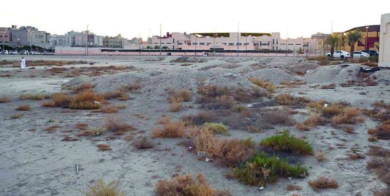 أكوام الرمال والحشائش الضارة تملأ الساحات المخصصة للحدائق 