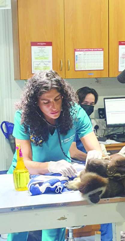 
تمارا... أفضل طبيبة بيطرية