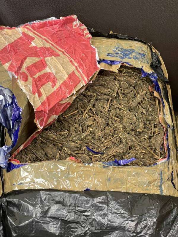 ‎جمارك المطار تحبط محاولة إدخال 17 كيلو «ماريجوانا»
 