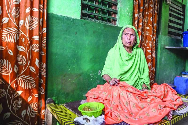 سلطانة بيغوم