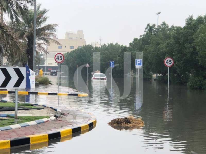 صباح الناصر