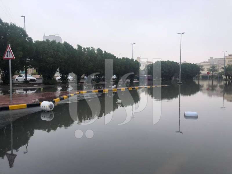 صباح الناصر