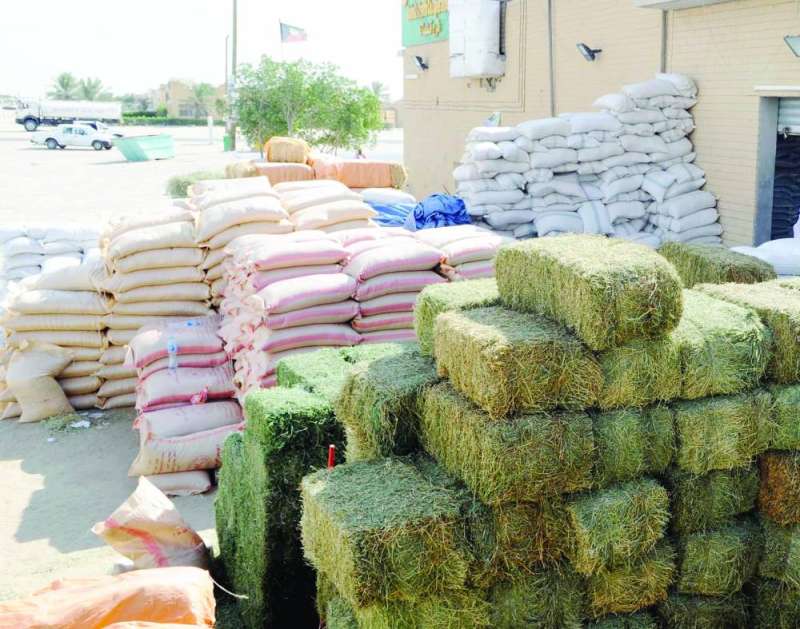 
مربو الأغنام يواجهون نقص «الأتبان» بعد أزمة أسعار الشعير
