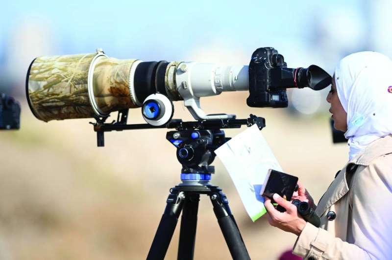 دقة في الرصد
