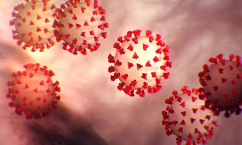 تطورات وباء كورونا محلياً