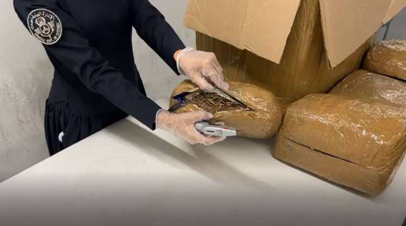 جُمركية تصطاد مسافراً عاد بـ 22 كيلوغراماً من الماريجوانا 
