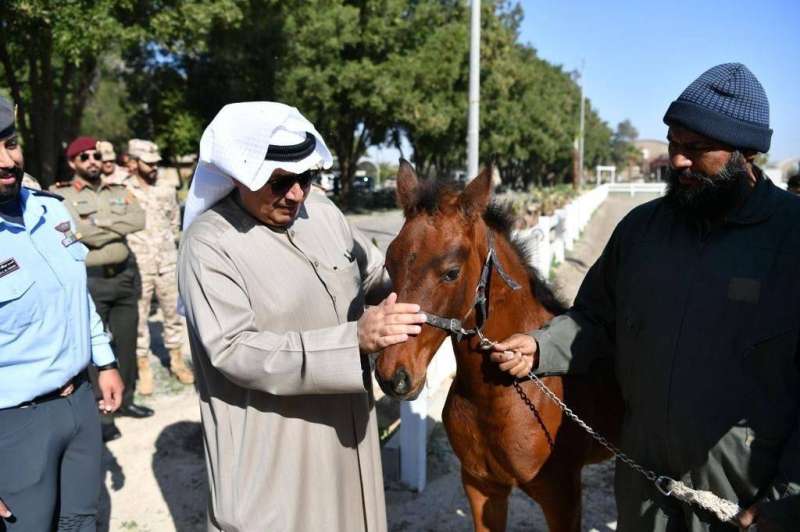 وزير الدفاع خلال زيارة إلى ميادين الرماية والفروسية التابعة للاتحاد الرياضي العسكري	