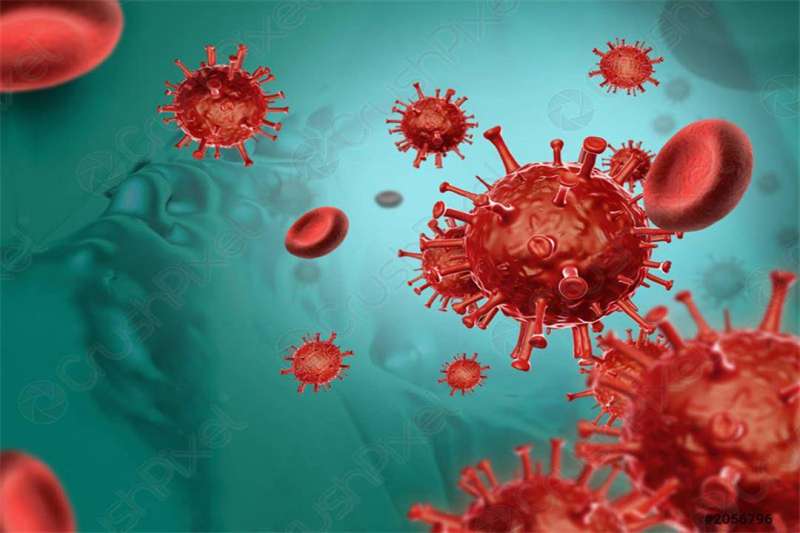 تطور الوضع الوبائي محلياً