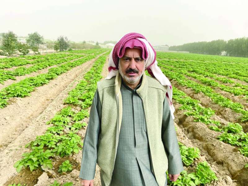 المزارع ناصر الجري وسط حقول البطاط في مزرعته في الوفرة