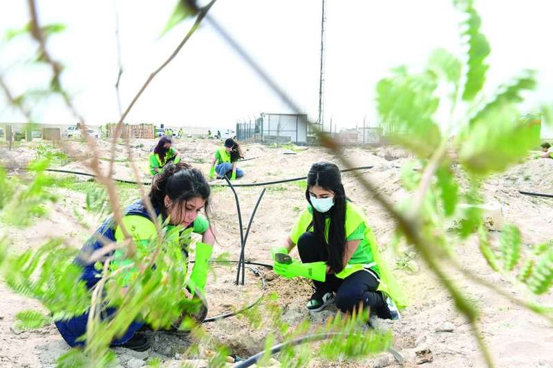 فتيات الكويت يغرسن الأشجار
