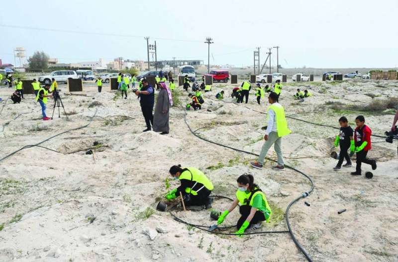 صحراء الكويت تخضر بسواعد أبنائها	 (تصوير أسعد عبدالله)
