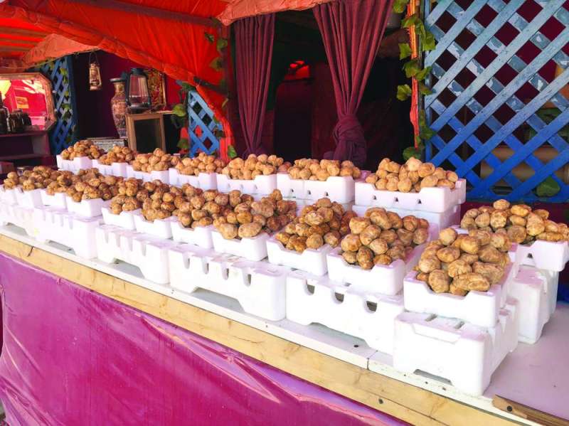 أحجام مختلفة
