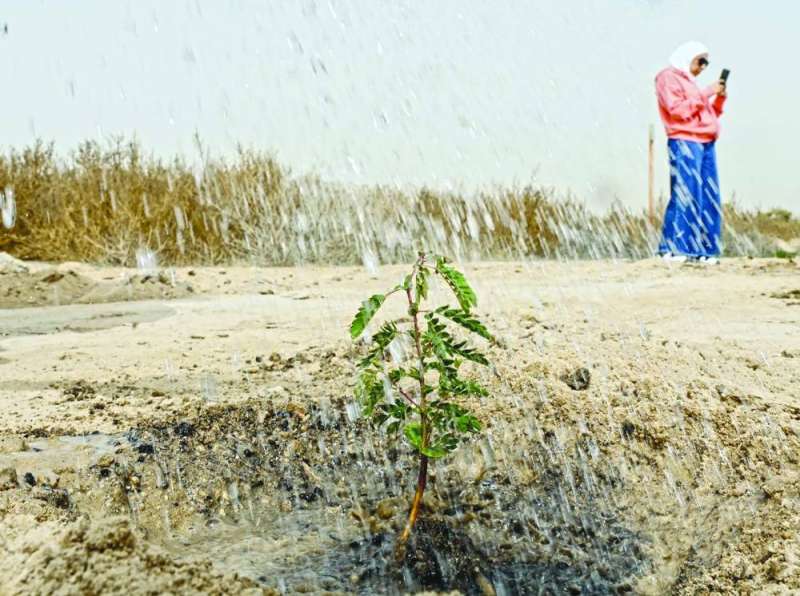 
التخضير... حياة 	(تصوير أسعد عبدالله)
