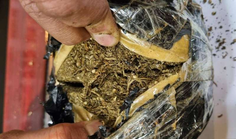 تفتيش الطرد والعثور على الماريجوانا