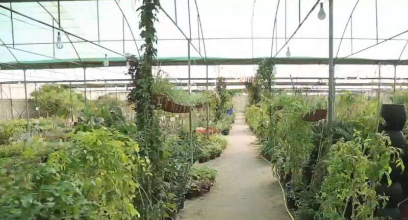 مزارع الكويت