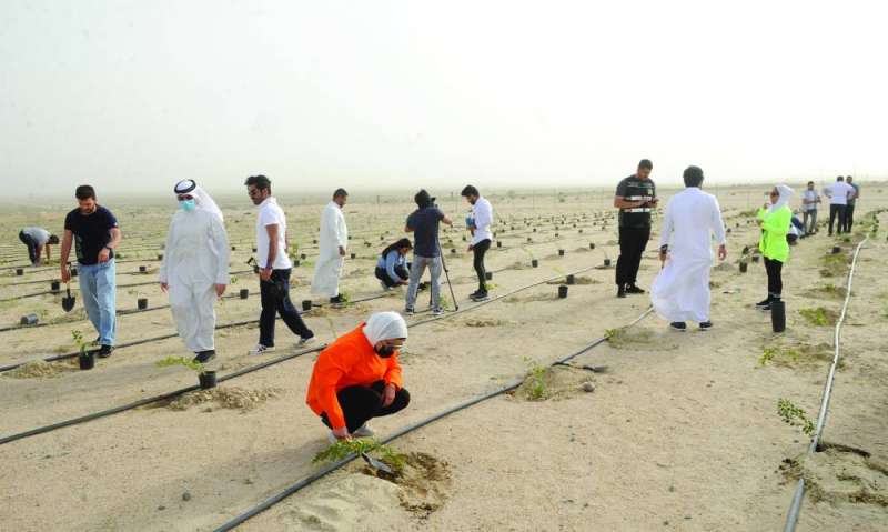 مشاركة واسعة في زراعة الشتلات 	(تصوير أسعدعبدالله)
