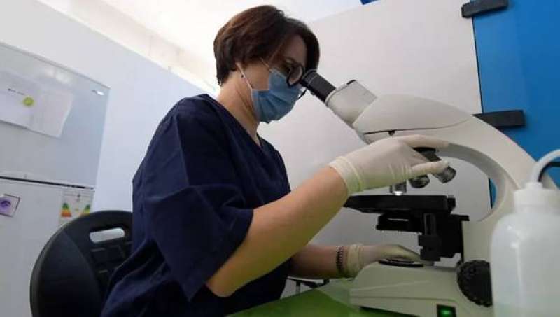 تطوير علاج واعد يقضي على السرطان
