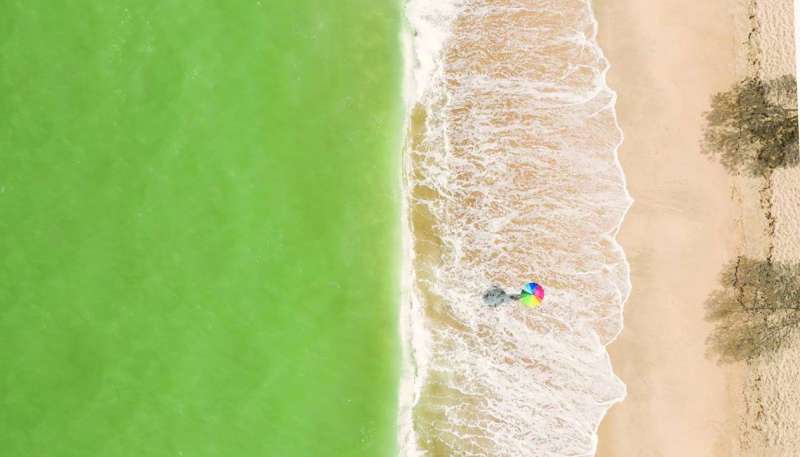 الصورة الفائزة
