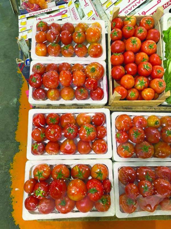 
«الطماط»... حلقت ولم تنزل