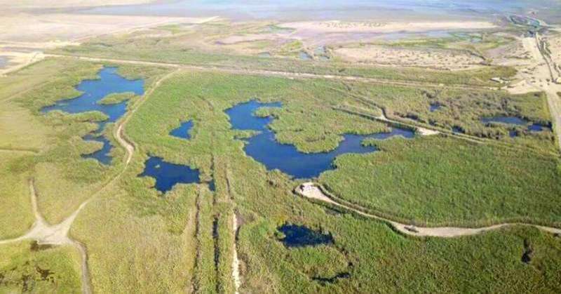 «النويصيب والجديليات» محميتان ومسيجتان
