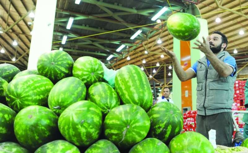 الرقي الإيراني يسيطر على الشبرة
