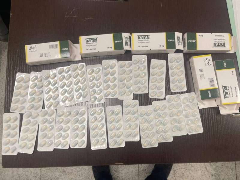 الحبوب المضبوطة