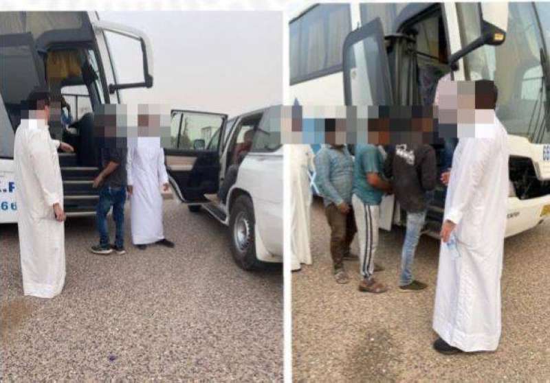 جانب من حملات الداخلية