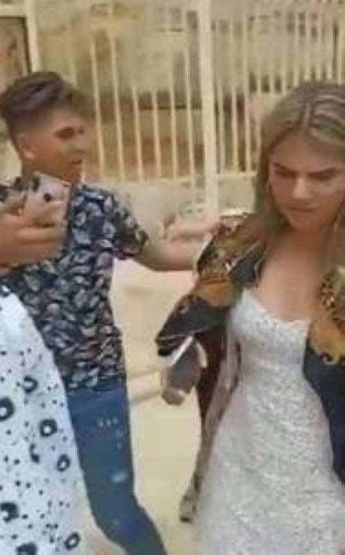 مشهد من الفيديو المتداول