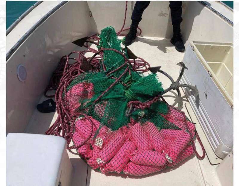 المواد المشتبه بها