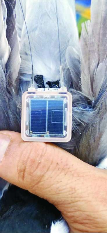 جهاز التعقب