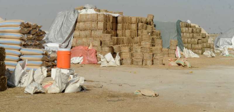 التقنين يهدف للمحافظة على المخزون الاستراتيجي (تصوير سعود سالم)