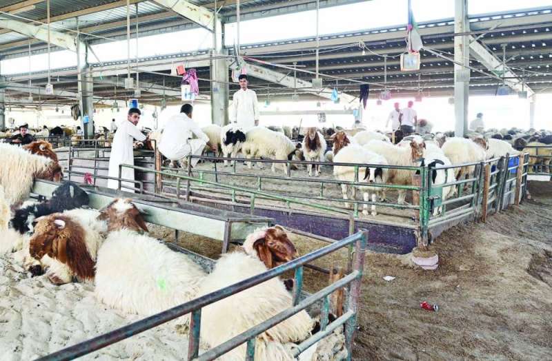 حركة خفيفة في سوق الغنم (تصوير اسعد عبدالله)