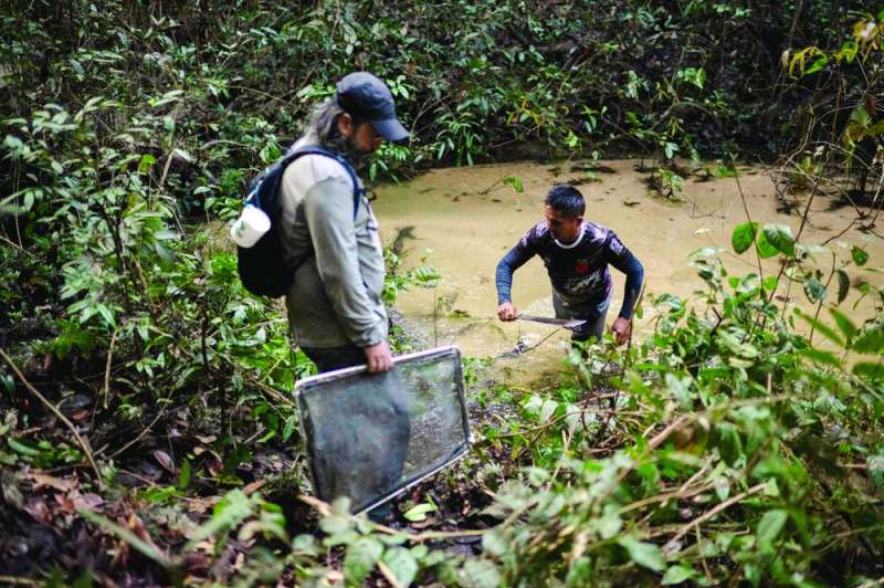 جانب من استكشاف الغابة لأخذ عينات من النباتات