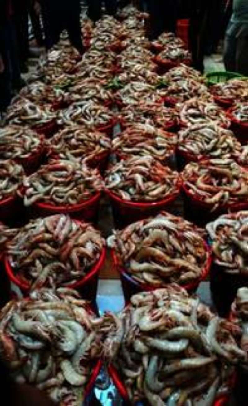 سلال الروبيان