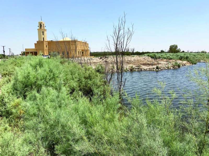 الوفرة على موعد مع مشروع ثقافي ترفيهي